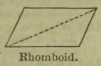 A rhomboid with a dashed diagonal running from the lower-left corner to the upper-right corner.