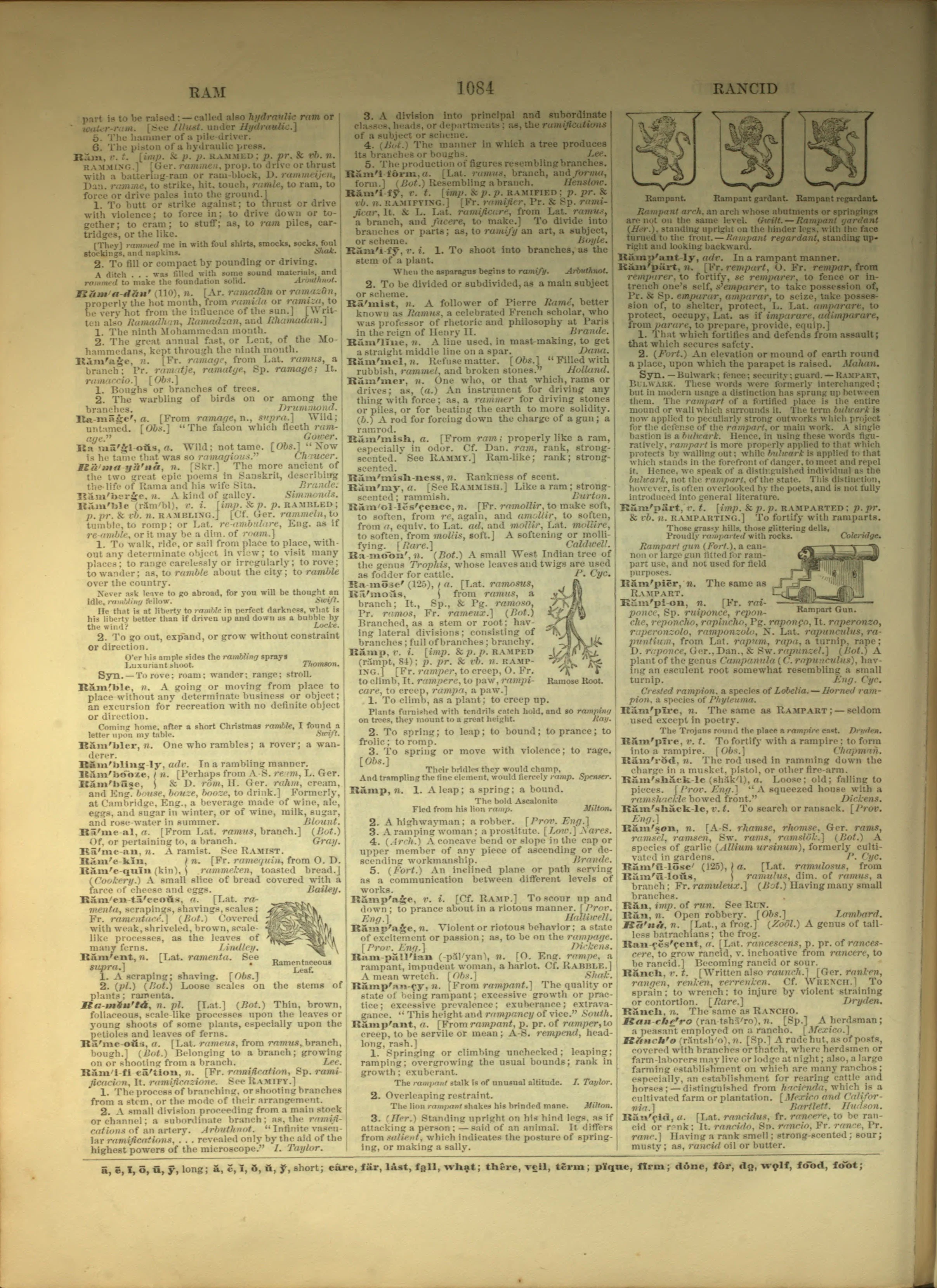 Scan of page 1084