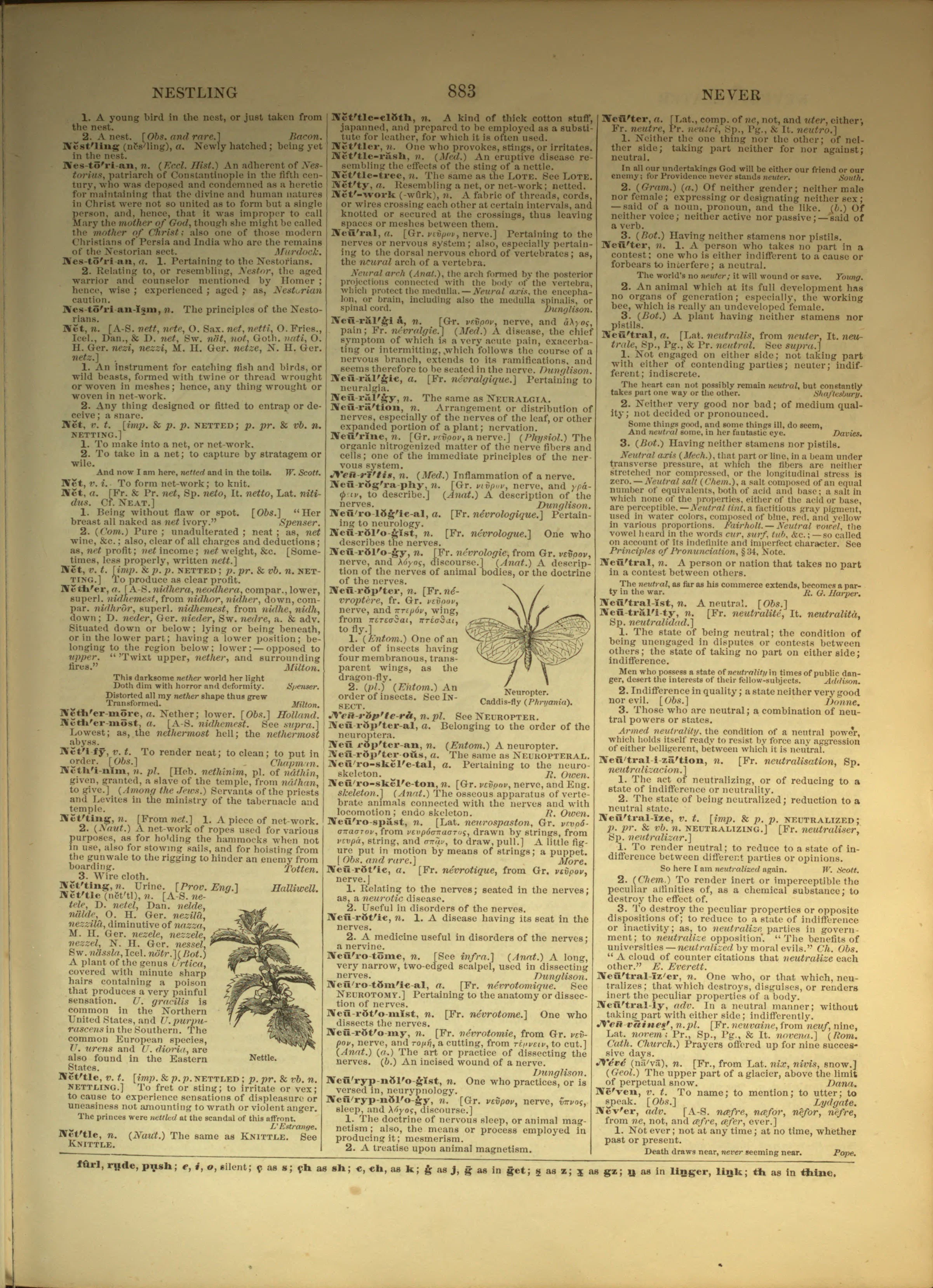 Scan of page 883