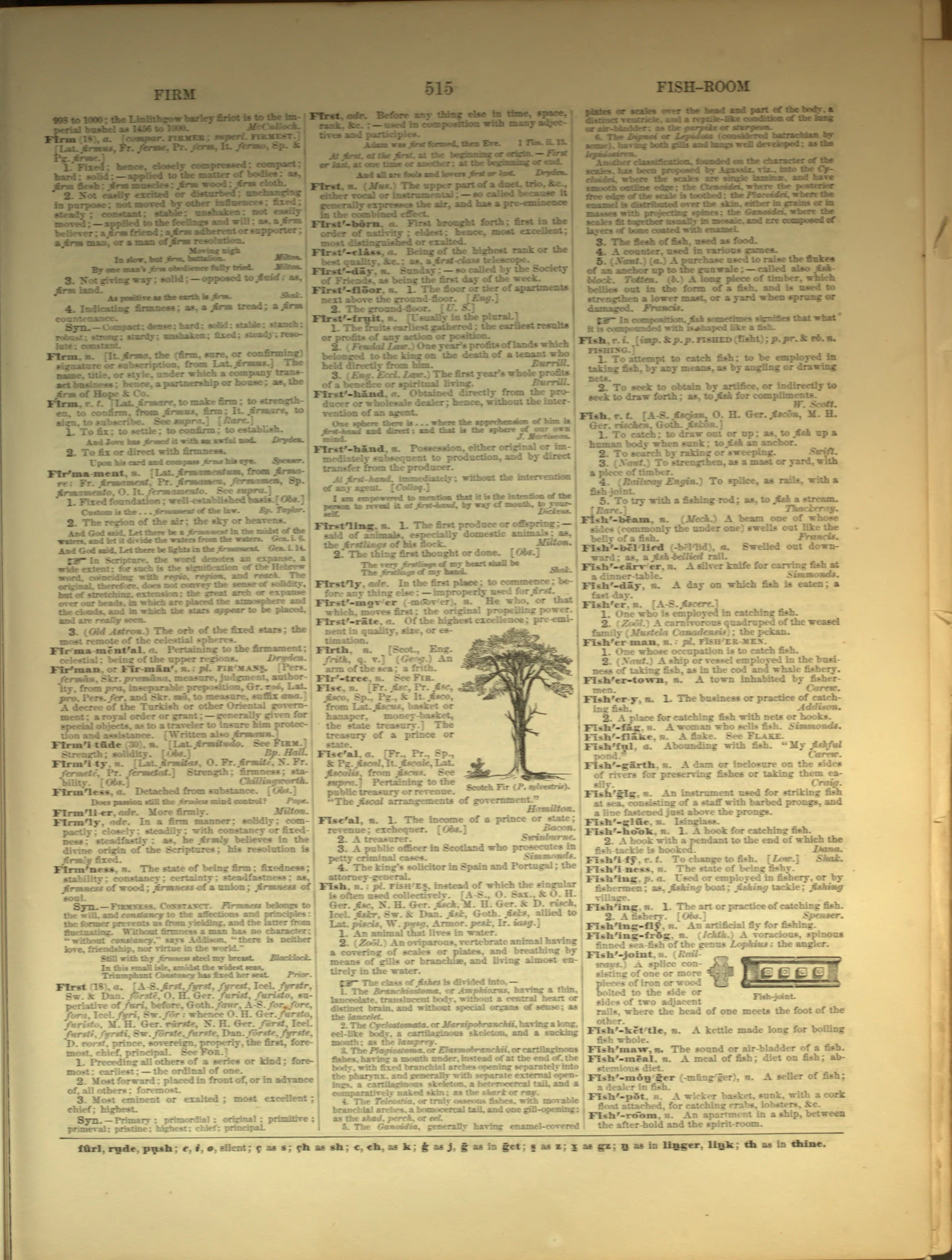 Scan of page 515