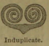 A symmetrical ornamental figure with two inward-coiling spirals joined at the center.