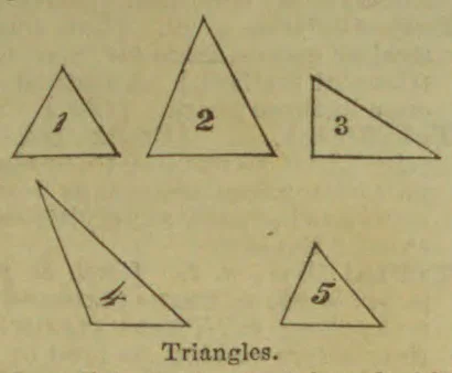 Five triangles of different shapes are shown, each numbered from 1 to 5.