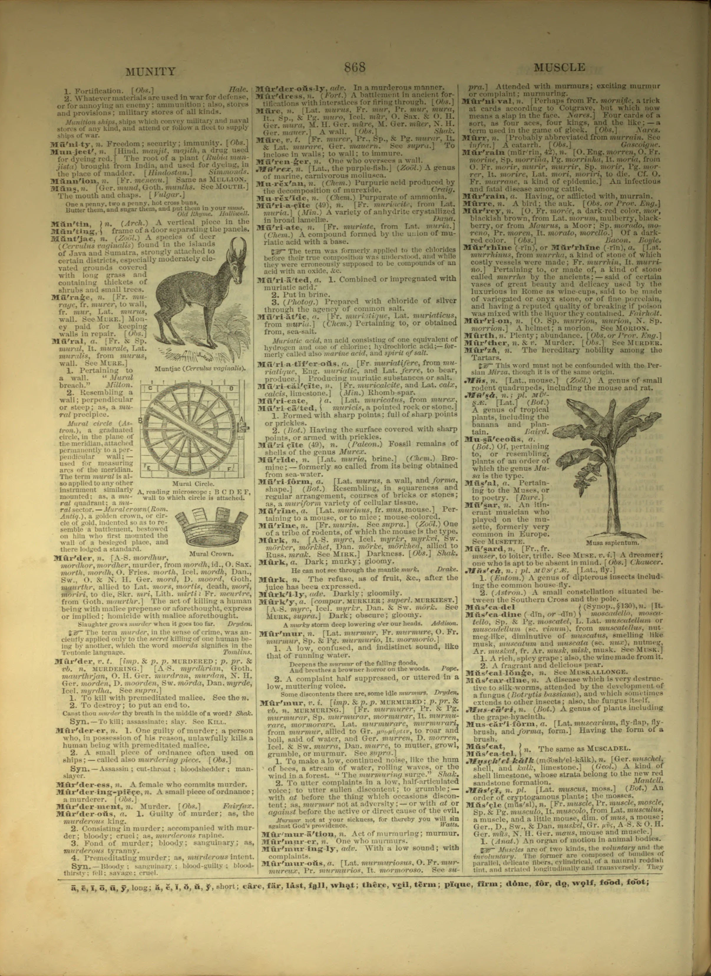 Scan of page 868