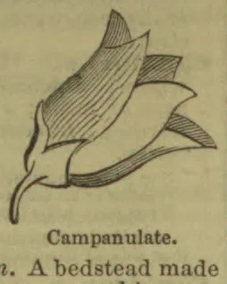 A drawing of a bell-shaped flower or corolla.