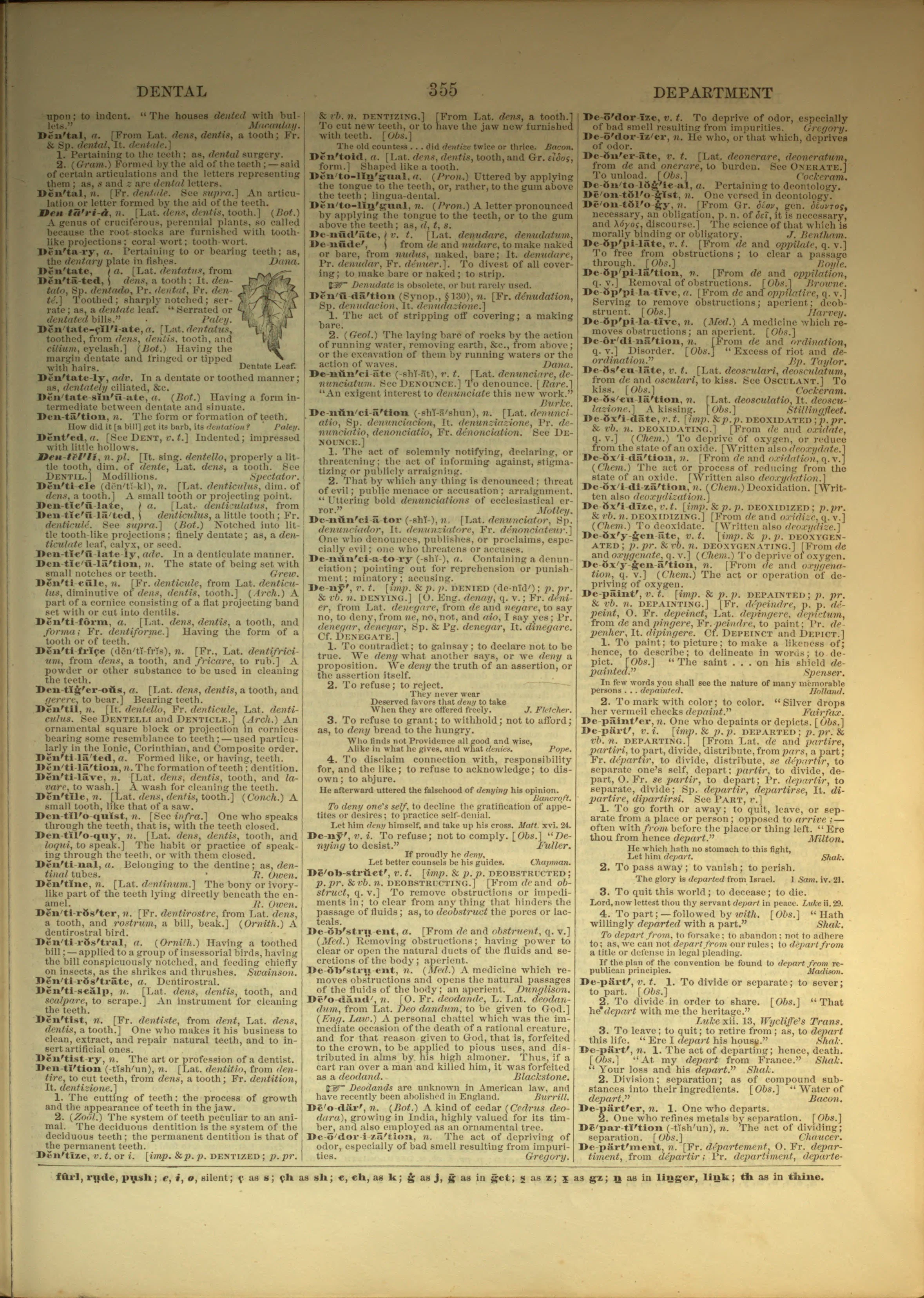 Scan of page 355