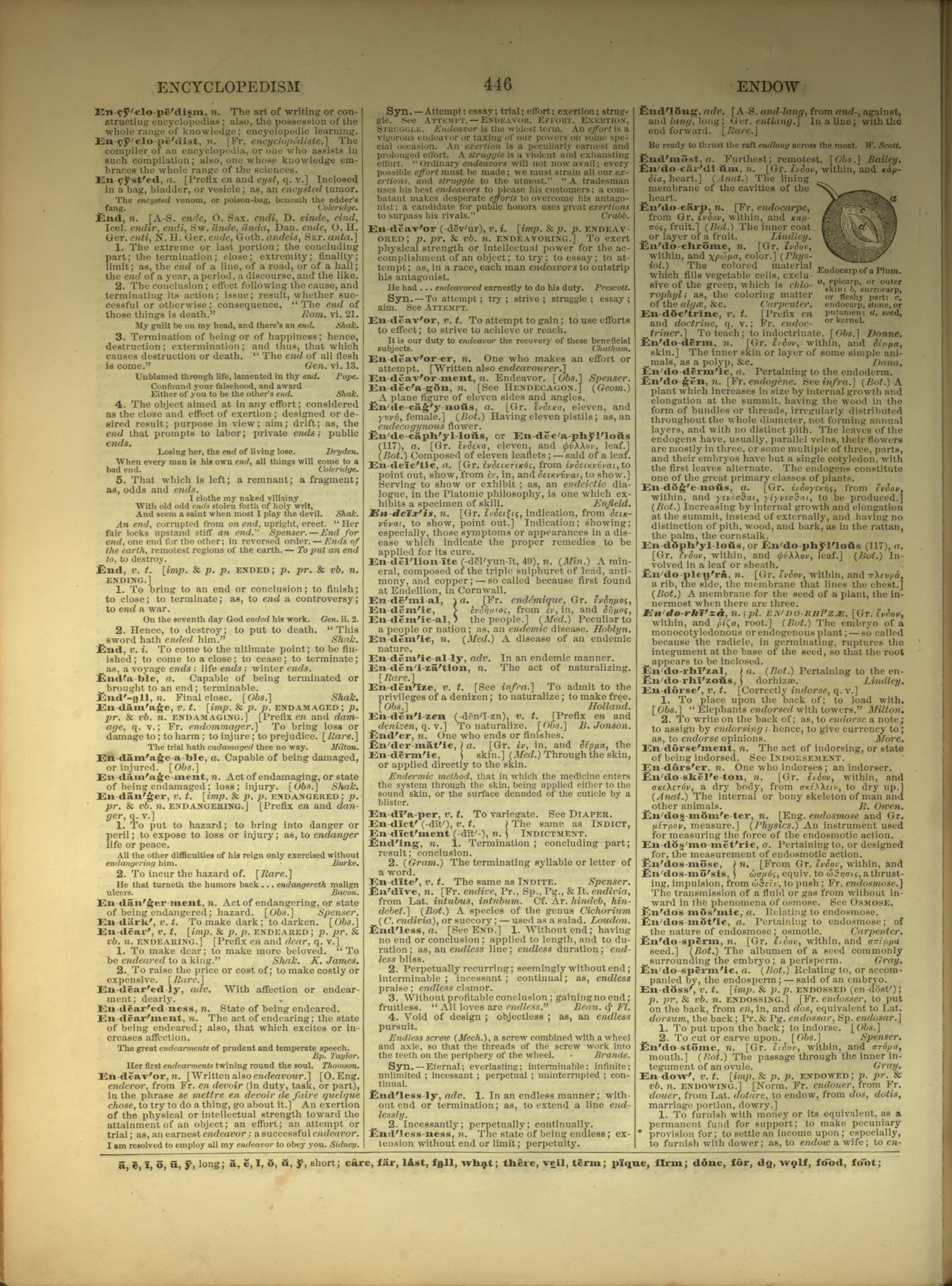 Scan of page 446