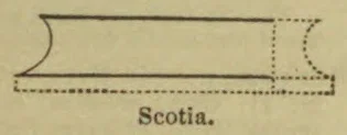 A cross-sectional drawing of a scotia molding.