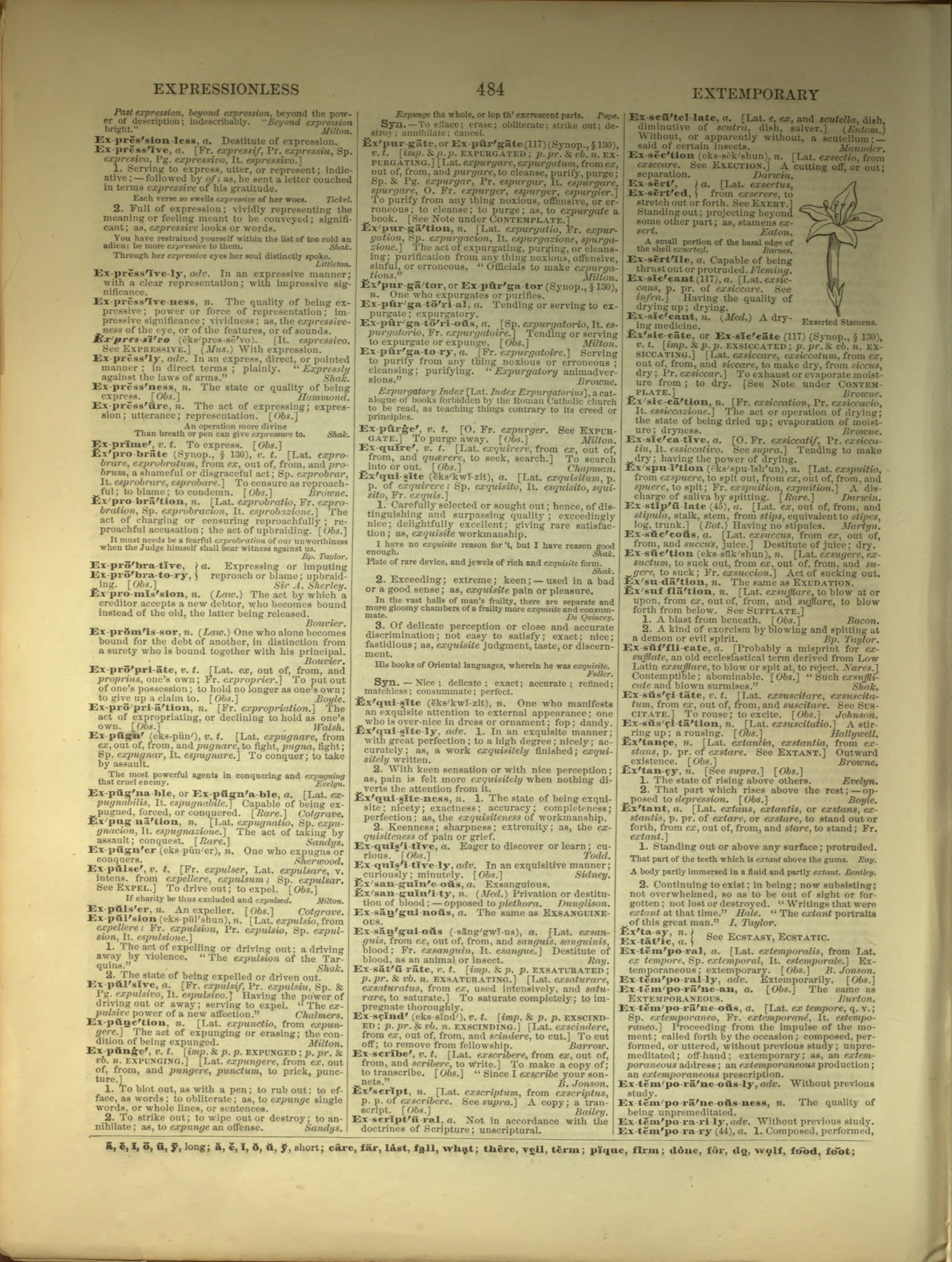 Scan of page 484