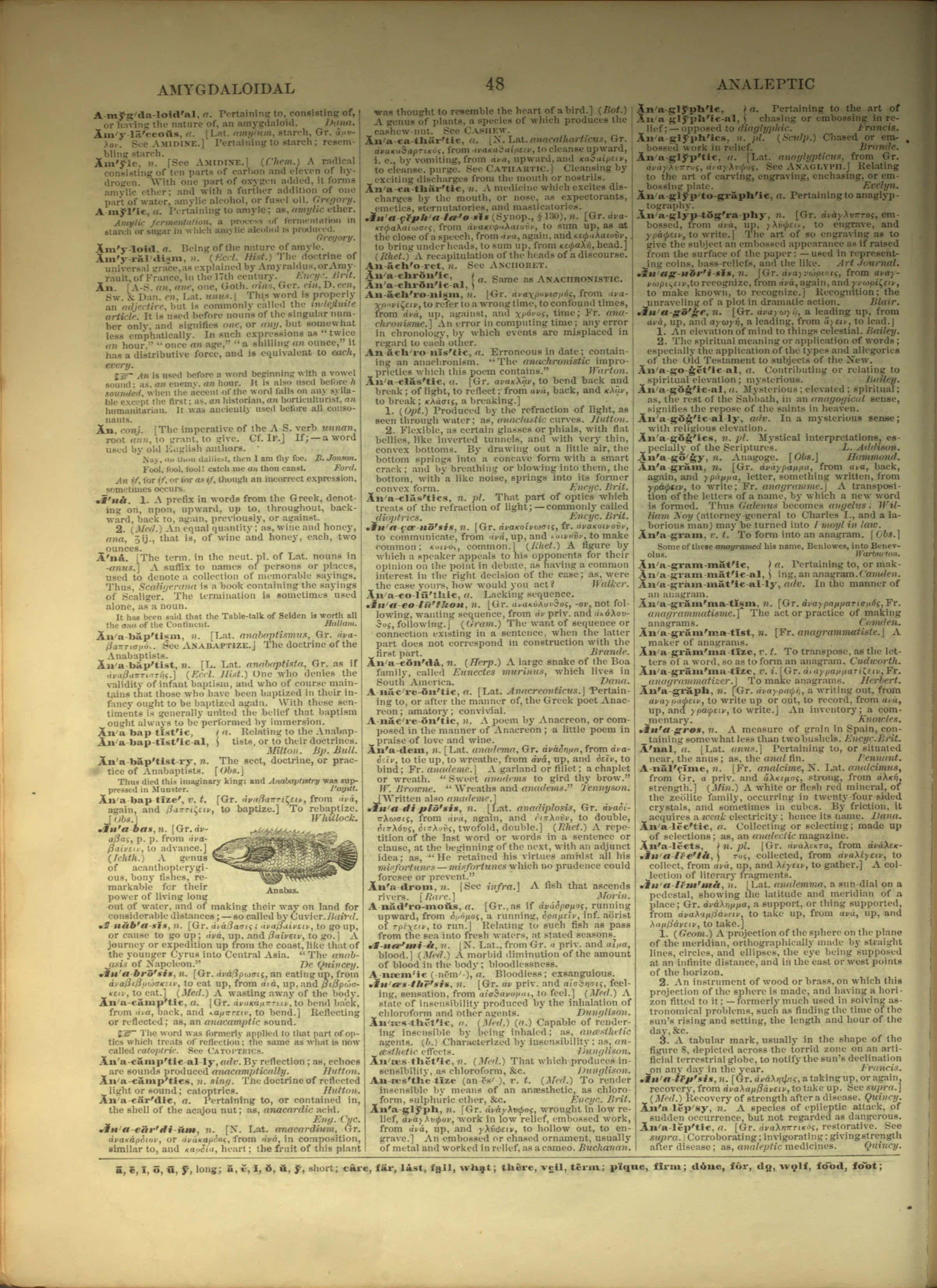 Scan of page 48