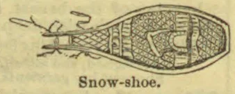 An illustration of a snowshoe with a woven frame and bindings.