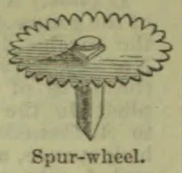 A toothed spur wheel is shown mounted on a vertical shaft.