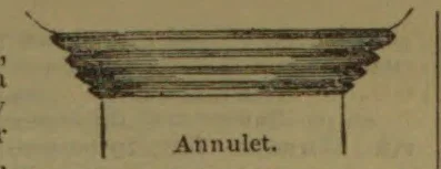 A horizontal architectural molding with several narrow ridges is shown in profile.