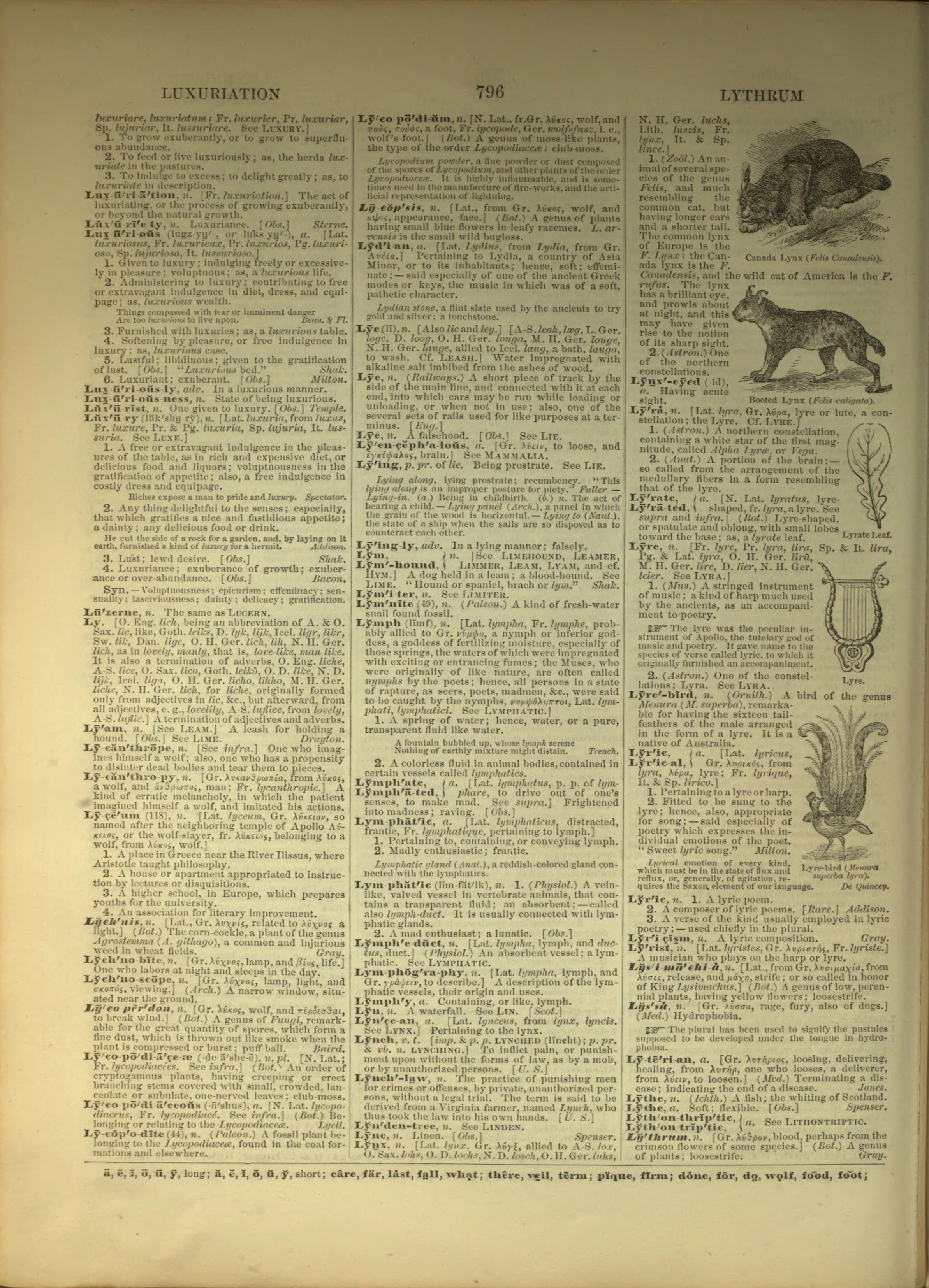 Scan of page 796