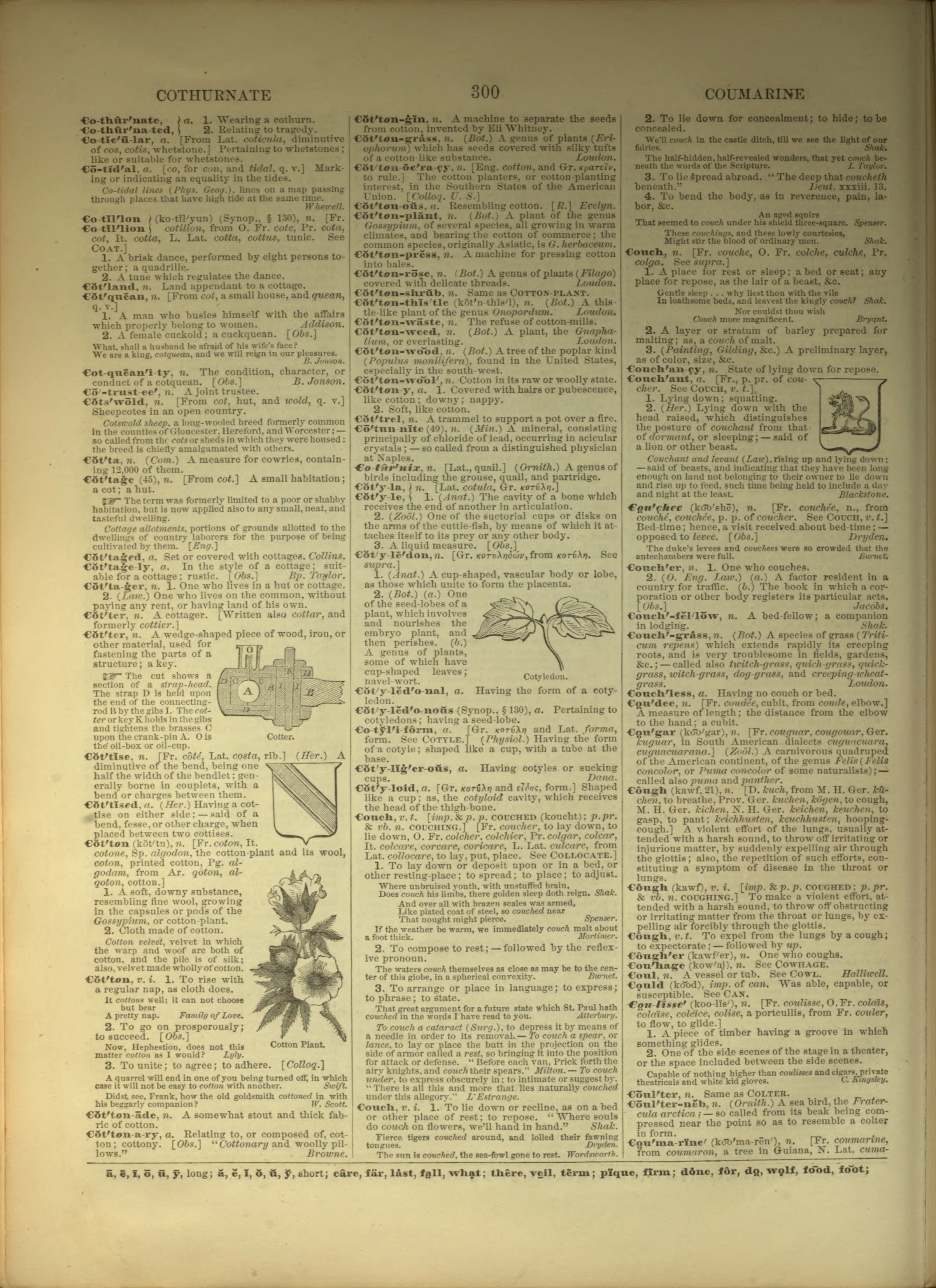 Scan of page 300