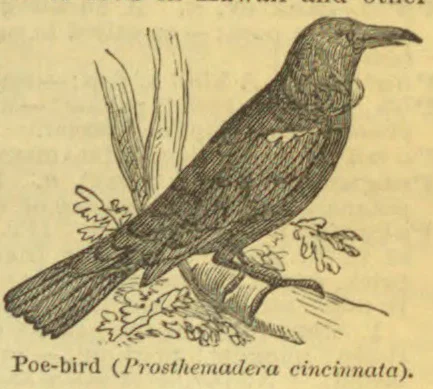 An engraved bird perches on a branch among leaves.