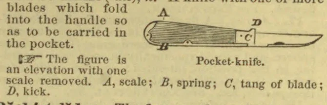 A side view of a pocket-knife with one scale removed, showing its blade and internal parts.