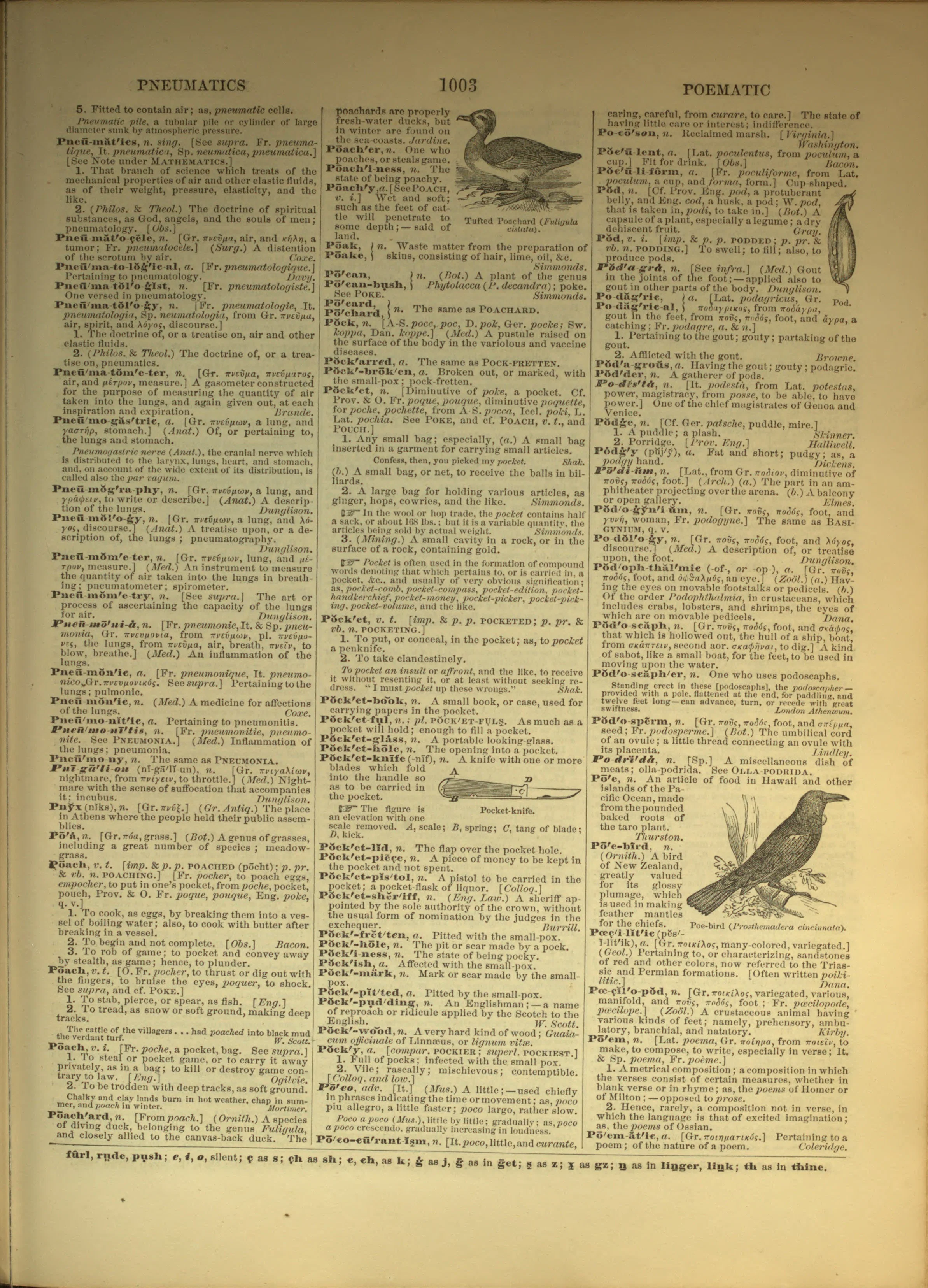 Scan of page 1003