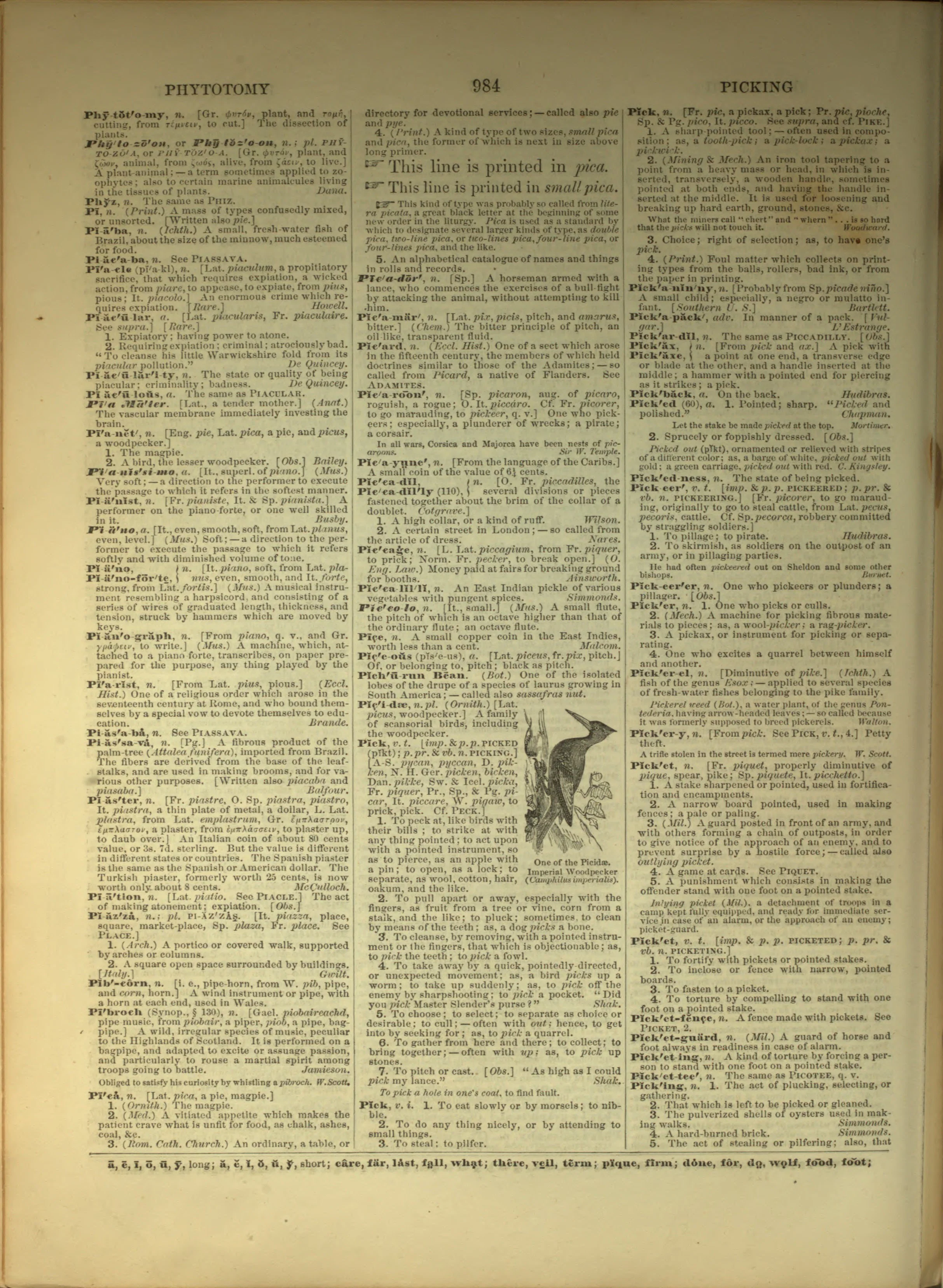 Scan of page 984