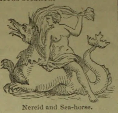 A woman rides a sea-horse with a fish-like head and curled tail.