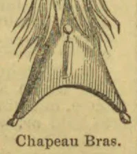 An illustration of a folded, feathered cocked hat.