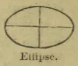 An oval ellipse is shown with horizontal and vertical axes crossing at its center.