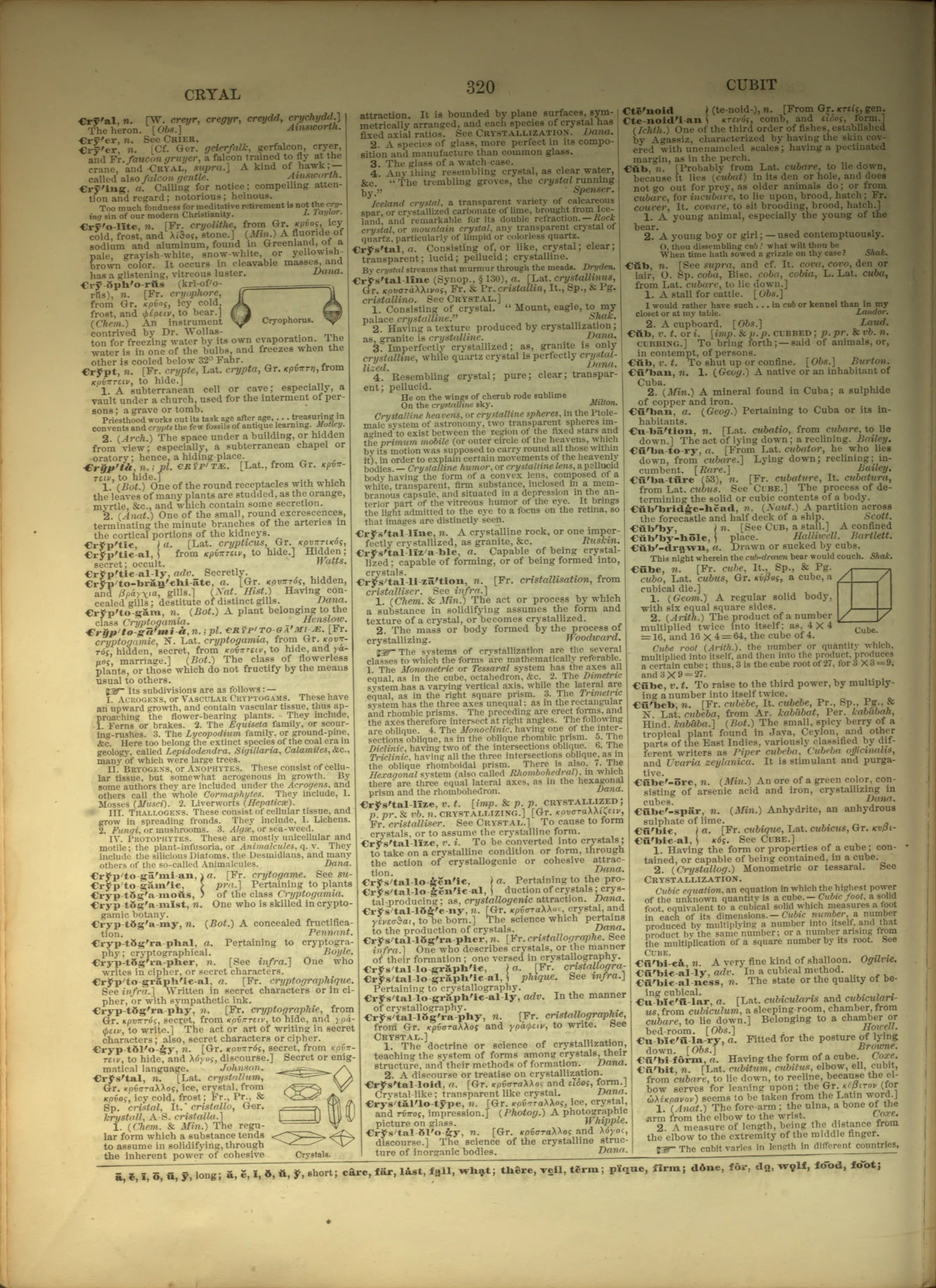 Scan of page 320
