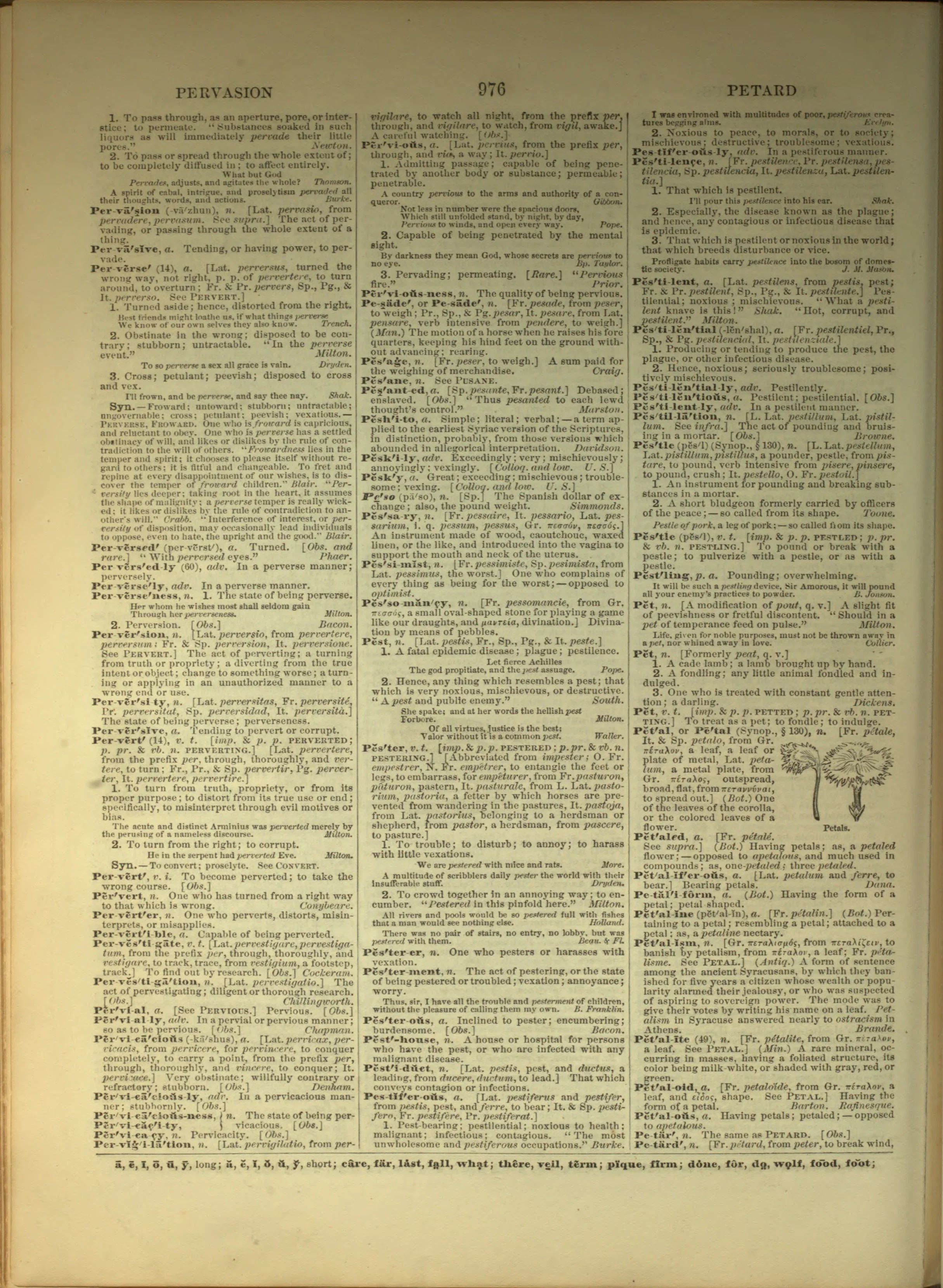 Scan of page 976