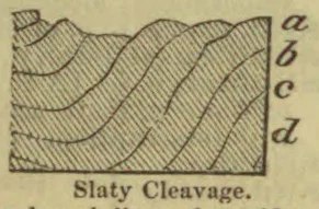 A geological cross-section showing curved, folded layers with slaty cleavage, marked by the letters a through d.
