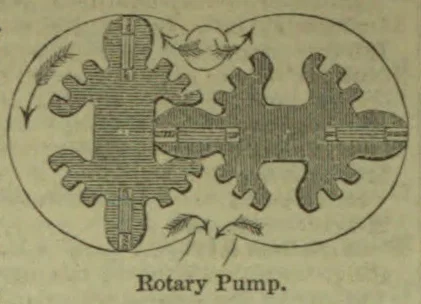 A diagram shows two intermeshing rotary gears inside an oval casing, with arrows indicating the direction of rotation and fluid flow.