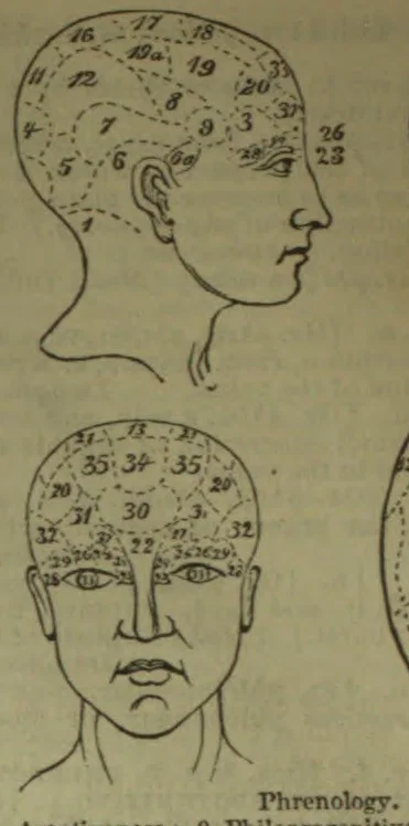 Two numbered phrenological diagrams show a human head in profile and from the front.