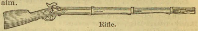 A long rifle with a wooden stock and flintlock mechanism.