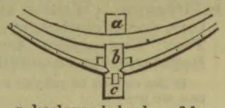 A diagram of several curved, parallel lines converging at a central junction, marked with the letters a, b, and c.