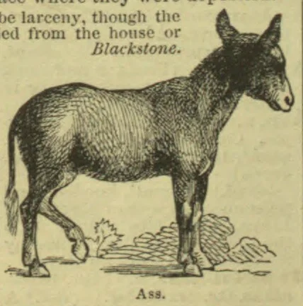 An engraved illustration of a standing donkey facing right.