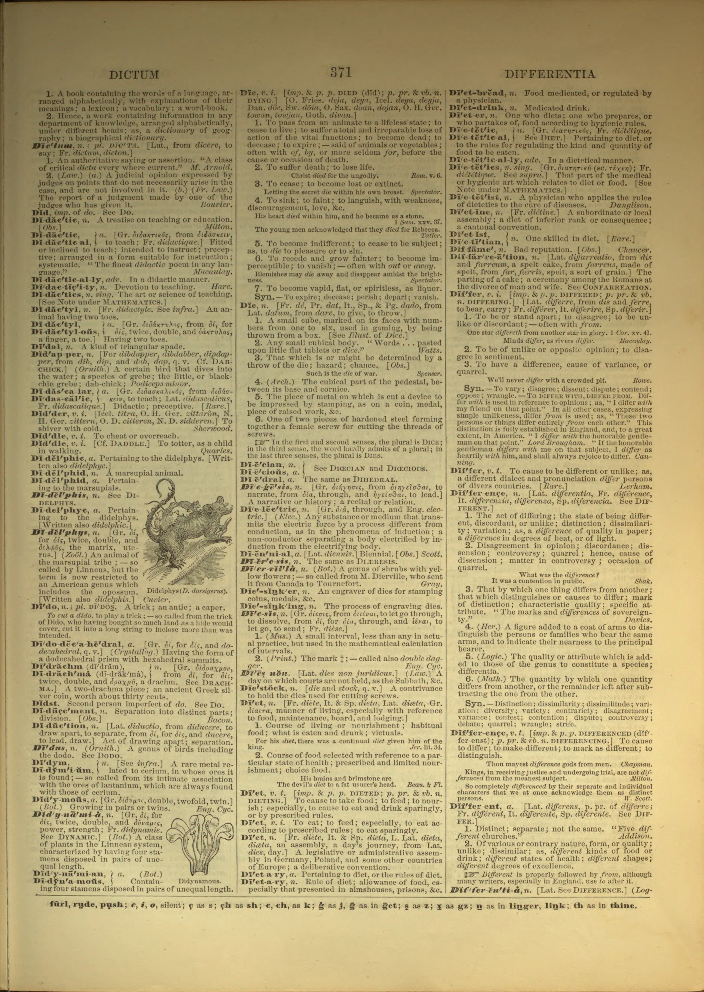 Scan of page 371