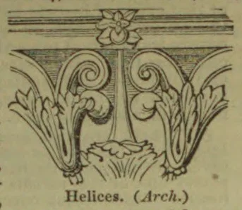 An architectural ornament showing two symmetrical scroll-shaped helices beneath a floral motif.