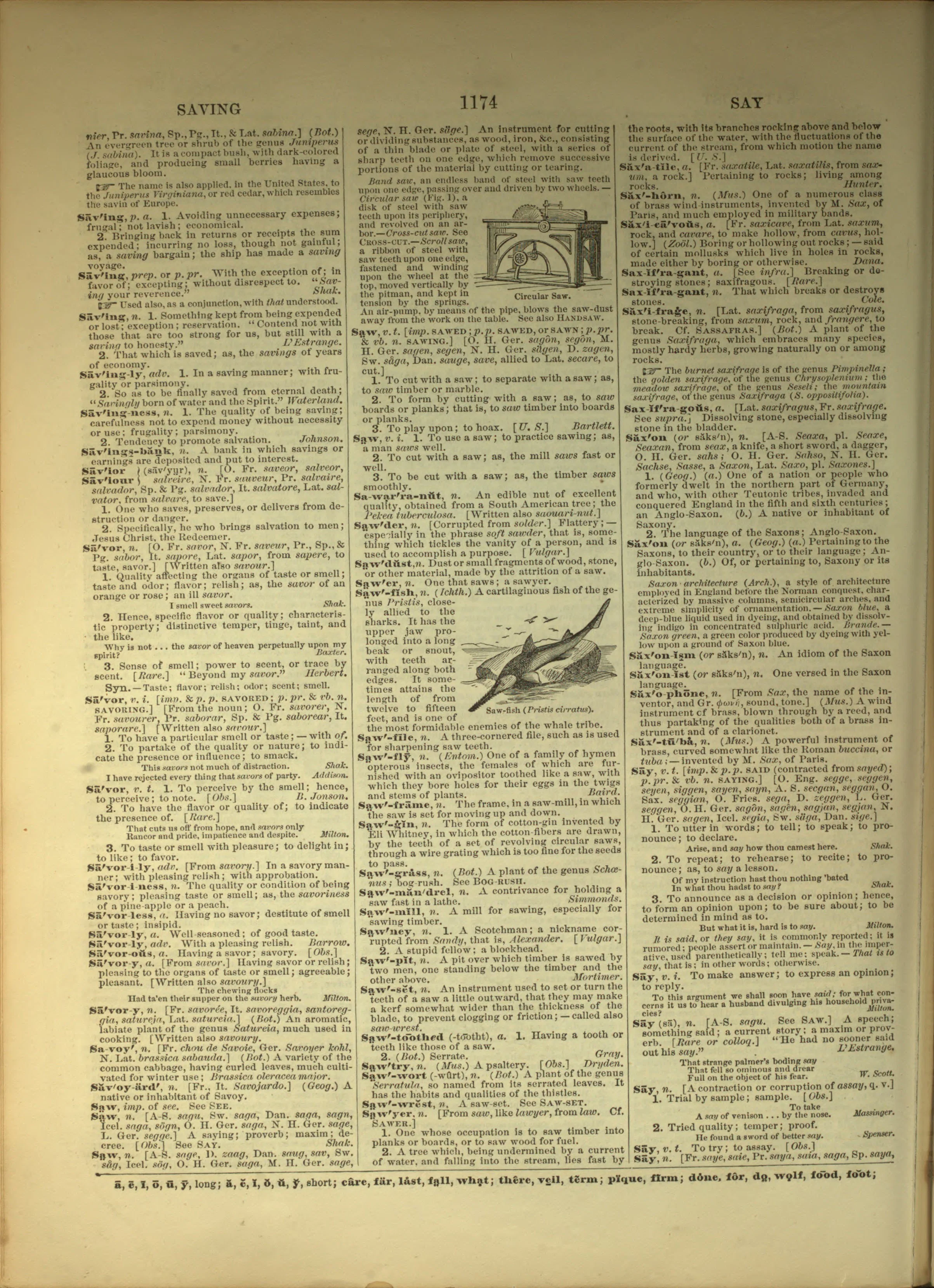 Scan of page 1174