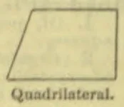 An outlined four-sided quadrilateral with a slanted left edge.