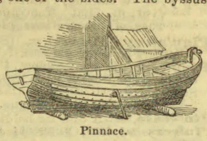 An engraved illustration of a pinnace, a small boat with a sail and oars.