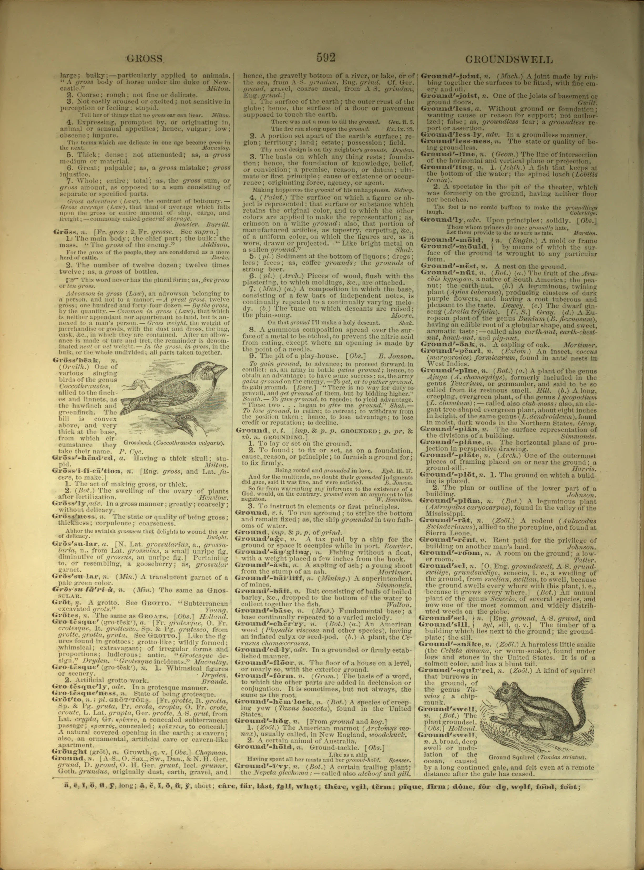 Scan of page 592