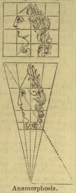 Two geometric diagrams show a distorted profile portrait and the projection lines used to create its anamorphic form.