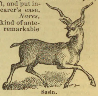 An antelope with long, curved horns is shown standing in profile.