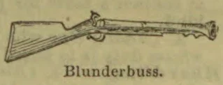 An antique blunderbuss firearm is shown in profile.