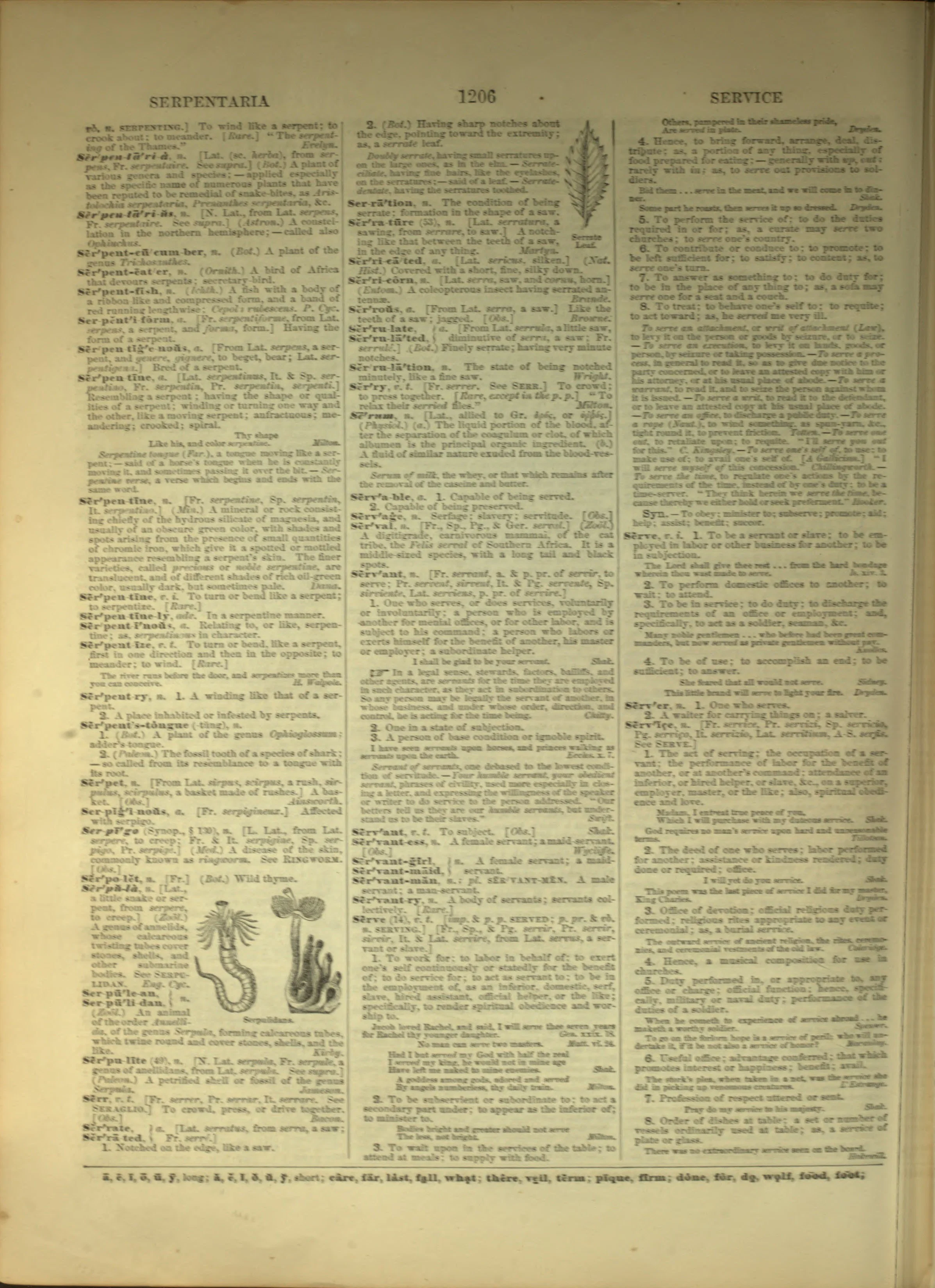 Scan of page 1206