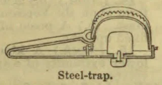 A side-view drawing of a steel animal trap with a curved toothed spring mechanism.