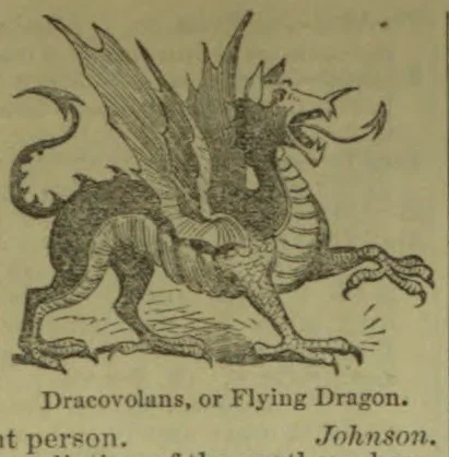 An engraved dragon with wings, a long curled tail, and clawed legs.