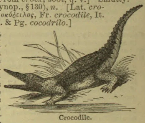 An engraved crocodile standing on the ground with its tail raised.