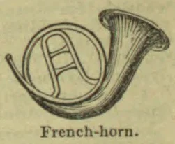 A drawing of a French horn with its coiled tubing and flared bell.