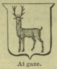 A deer with antlers stands alert, facing forward.