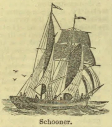 An illustration of a schooner sailing on the water, with its sails raised and birds nearby.