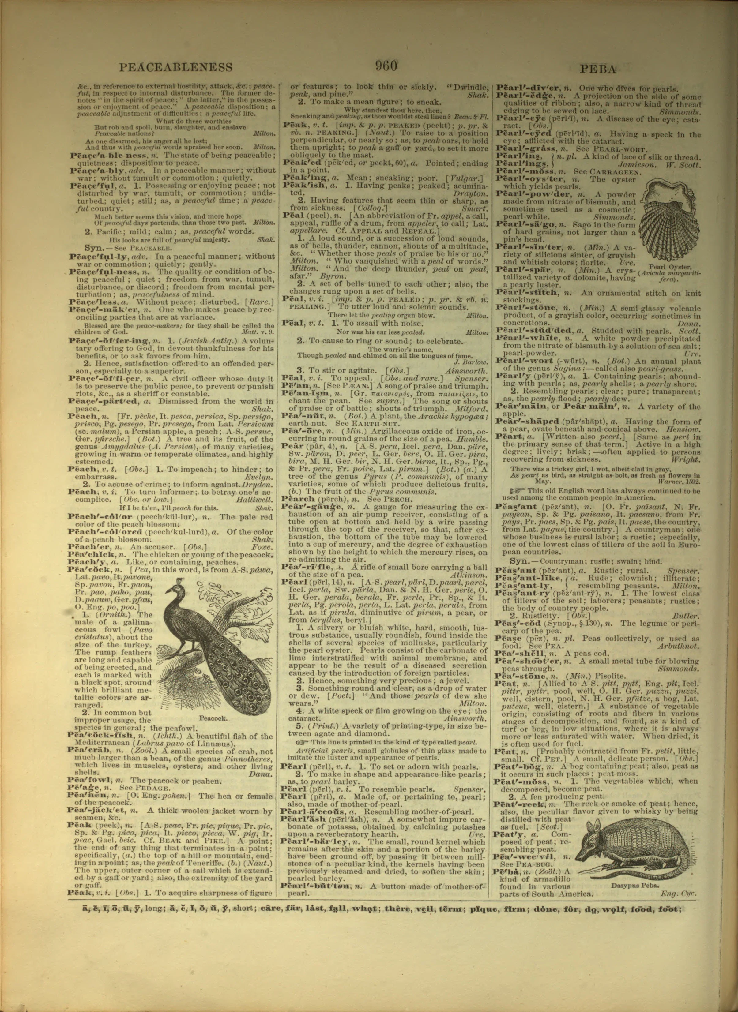Scan of page 960